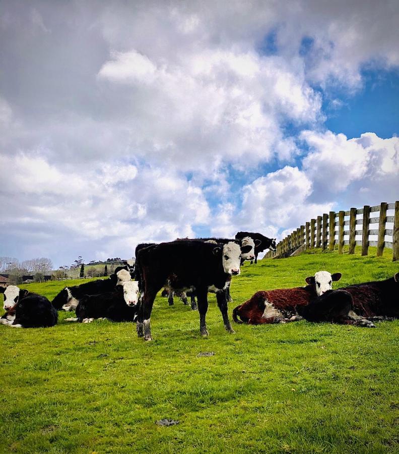 Lifestyle Guesthouse Dairy Flat Eksteriør billede